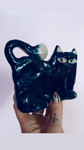 Blue-White Cat