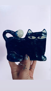 Blue-White Cat