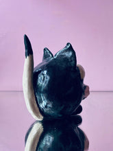 Load image into Gallery viewer, Ball cat
