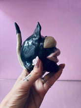 Load image into Gallery viewer, Ball cat
